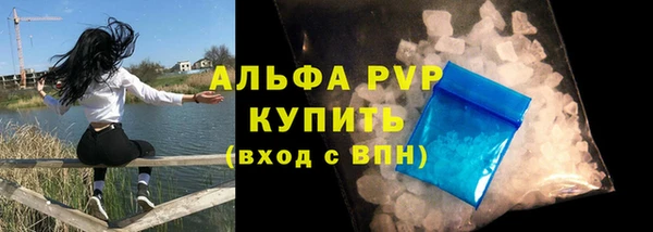 хмурый Абаза