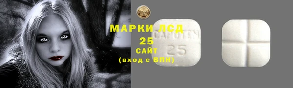 хмурый Абаза