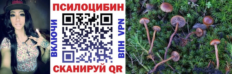 Галлюциногенные грибы мицелий хочу Фокино